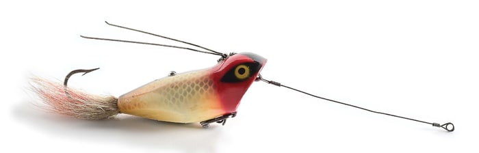 RED HEAD SHINER SCALE WEEDLESS WIDOW