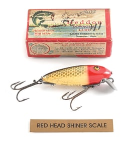 BOXED RED HEAD SHINER SCALE RIVER RUNT