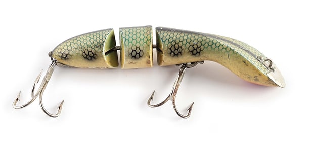 D.A.M. VAMPIR IN A GREAT COLOR