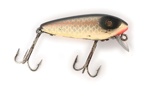 RARE ZINC-EYE RIVER RUNT SHINER SCALE