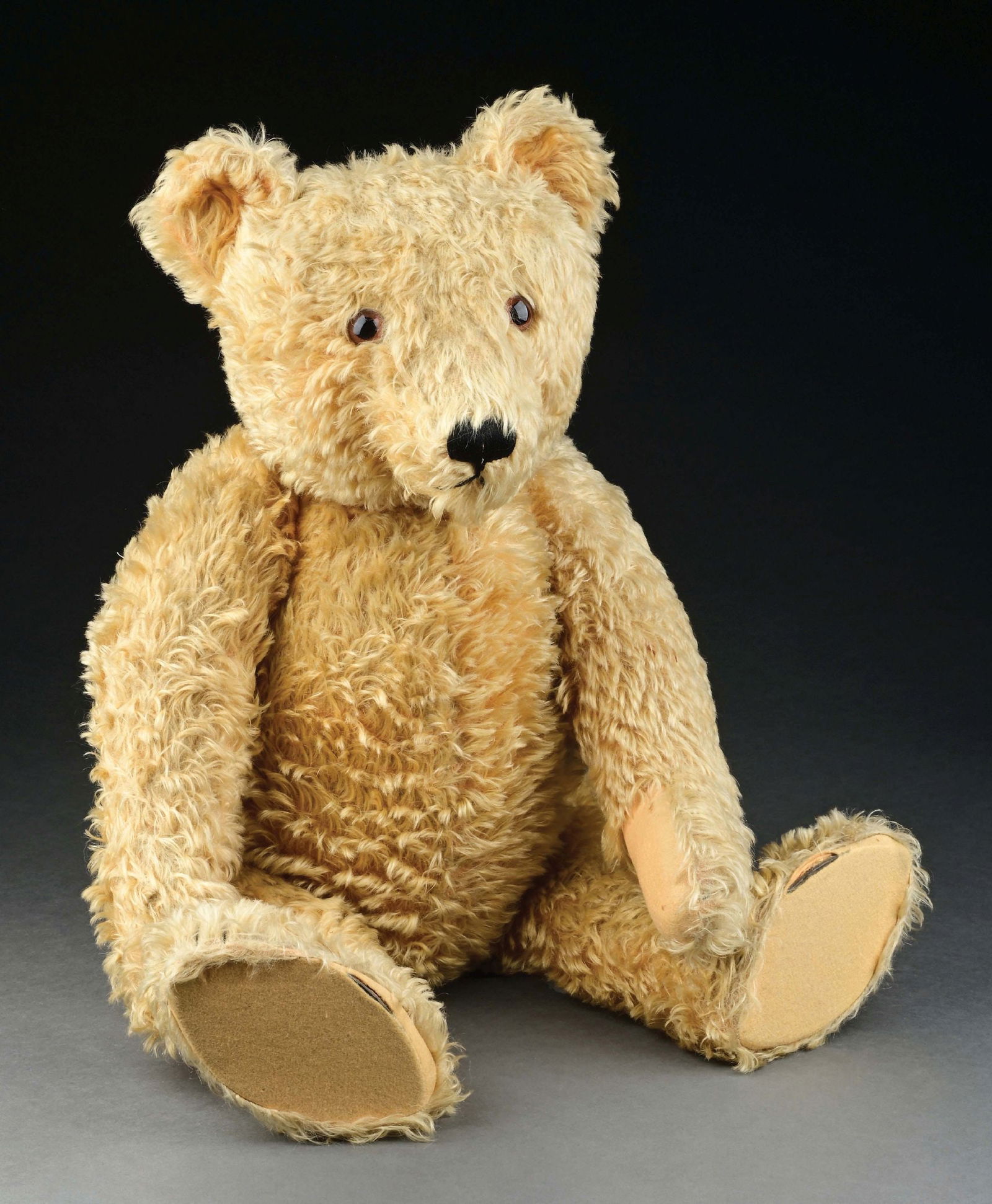 ESPECIALLY STEIFF GOLDEN MOHAIR BEAR NAMED "SILVESTER" (1 of 3)