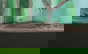 item-205716638=7