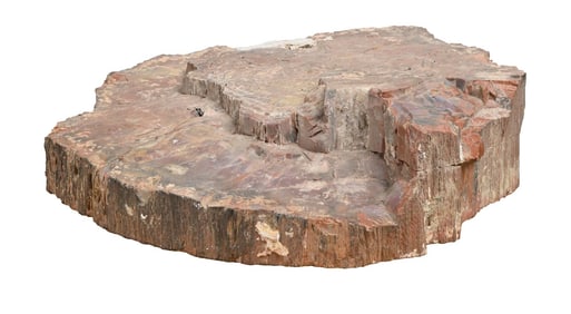 LARGE PIECE OF CRACKED PETRIFIED WOOD