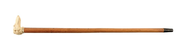 ANTIQUE WALKING STICK CANE W/ CARVED DOG HEAD & COLLAR