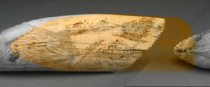 SCRIMSHAW CARVED WHALE'S TOOTH