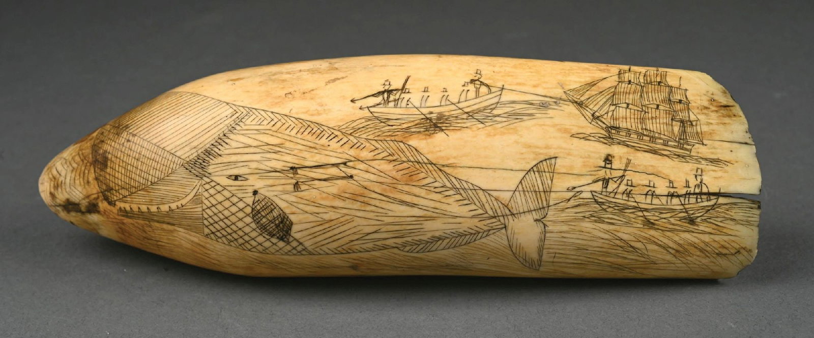 SCRIMSHAW CARVED WHALE'S TOOTH: Featuring a scene of a whale hunt with three ships and sailors throwing harpoons. Tooth has some expected chips and cracks. Condition: (Excellent). Dimensions: 8" x 2 - 1/2"