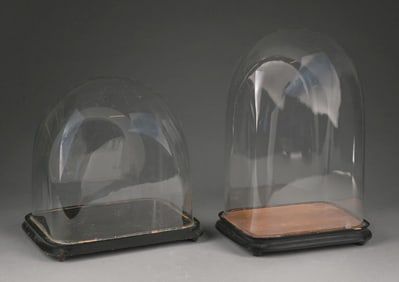 LOT OF 2: GLASS DOME DISPLAY CASES