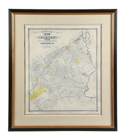 FRAMED MAP OF LEON COUNTY TEXAS