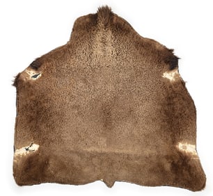 EARLY HAIR-ON BUFFALO HIDE
