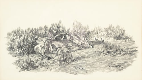 WILL JAMES (1892-1942)