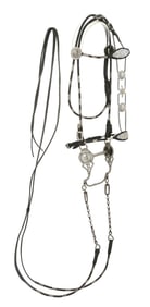 VISALIA STOCK SADDLE STERLING BRIDLE AND BIT