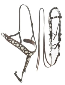 BRIDLE, BIT & MARTINGALE WITH SILVER DOMES