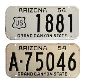 LOT OF 2: 1954 ARIZONA GRAND CANYON STATE EMBOSSED TIN LICENSE PLATES
