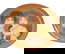 item-210683420=1