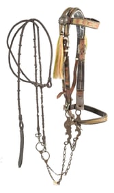 HORSEHAIR BRIDLE WITH SIMPLE IRON BIT