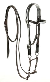 BLACK LEATHER WITH METAL PLATES BRIDLE
