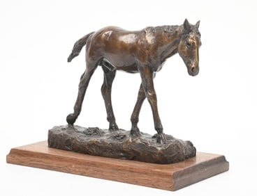 INJUN COLT BY BOB SCRIVER