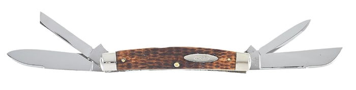 EARLY CASE CONGRESS LONG PULL FOLDER.