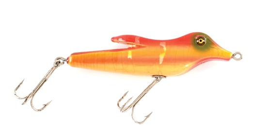 KINNEY BIRD IN RAINBOW