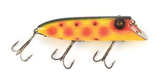 ORANGE SPOTTED BASSER
