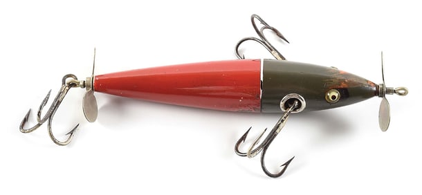 MUSKY CHARMER GREY HEAD RED TAIL