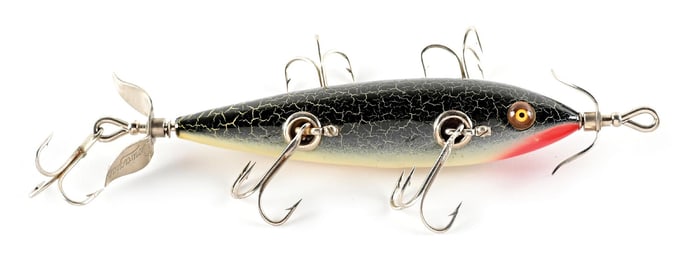 RED BLUSH CHIN HEDDON 150