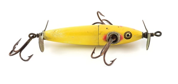 YELLOW CHARMER WITH RED SPOTS