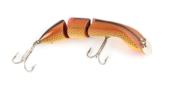 D.A.M. VAMPIR IN GOLDFISH