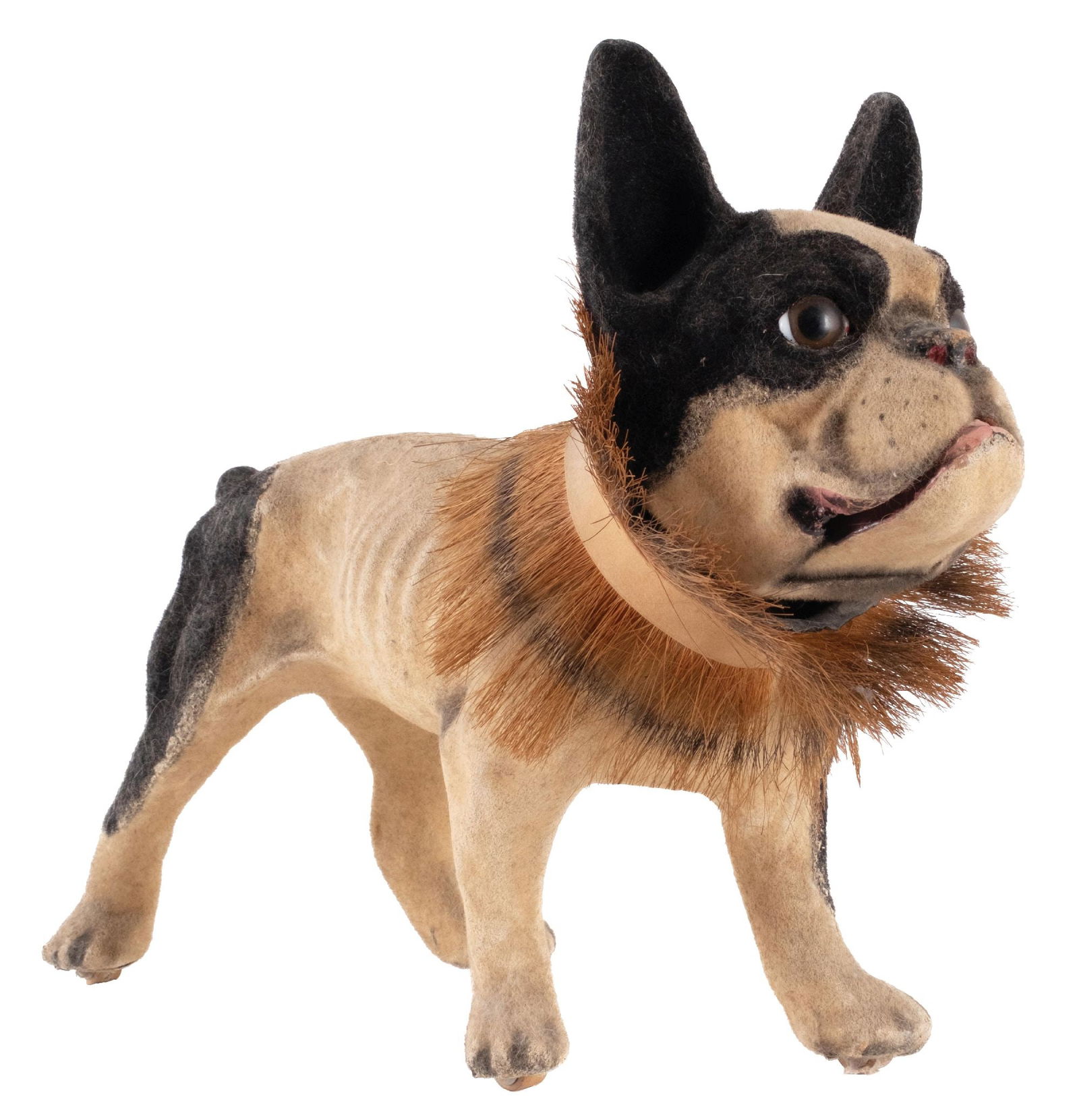 FRENCH BULL DOG GROWLER: CONDITION: All original condition, with original wheels at the bottom of his paws, head, glass eyes, and pull chain. It is in operating condition, showing light areas of wear to all the original appli