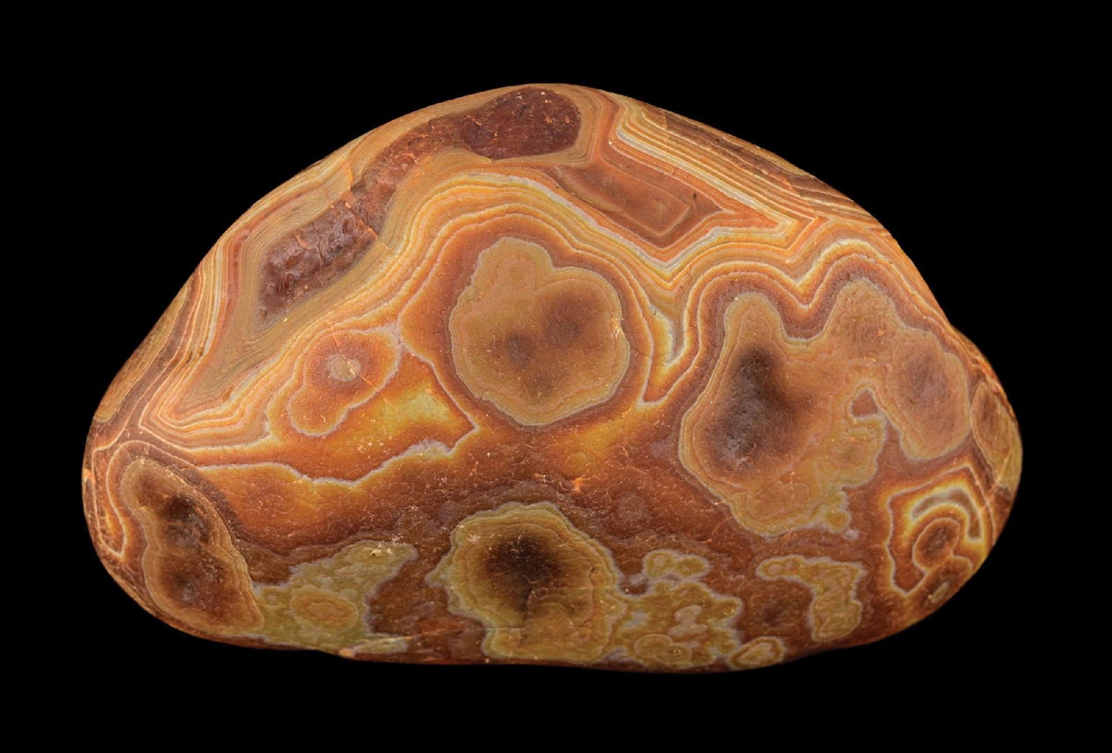 BLACK RIVER AGATE: Incredible detail and natural design weighing a total of 5.8 Lbs. Condition: (Excellent). Dimensions: 8" L.