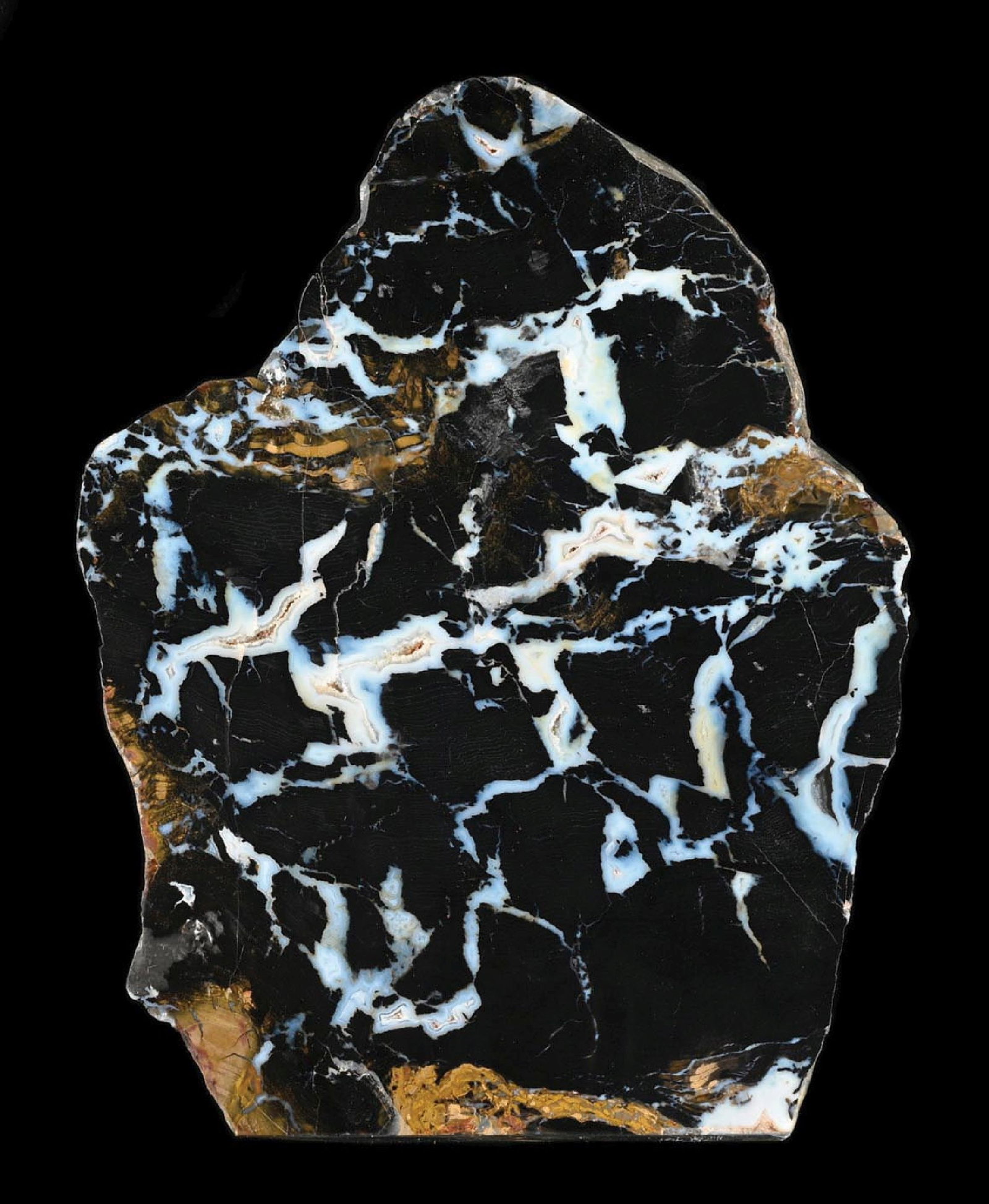 BLACK-WHITE POLISHED PETRIFIED WOOD SLAB: Dark bold colors, fantastic displaying example. Condition: (Excellent). Dimensions: 10” x 7 - 1/4” x 1 - 1/2”.