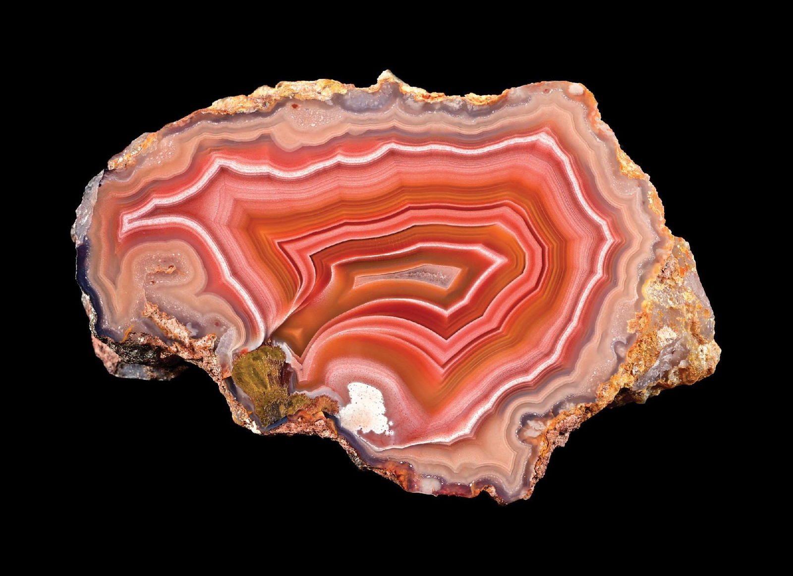 MEXICAN LAGUNA AGATE: Exquisite colors making this a great display piece for any collection. Condition: (Excellent). Dimensions: surface: 3 - 1/4" W.