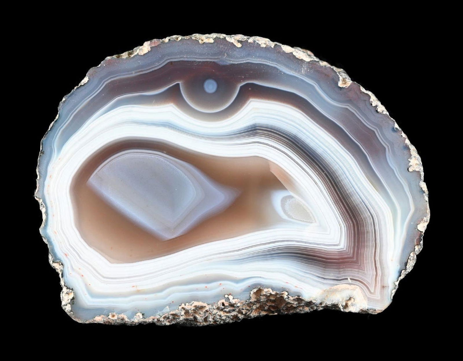 BRAZIL AGATE: Small Brazil agate with great coloring and details, weighing right around 9oz. Condition: (Excellent). Dimensions: 3” x 2 - 1/2” x 1 - 1/2”.