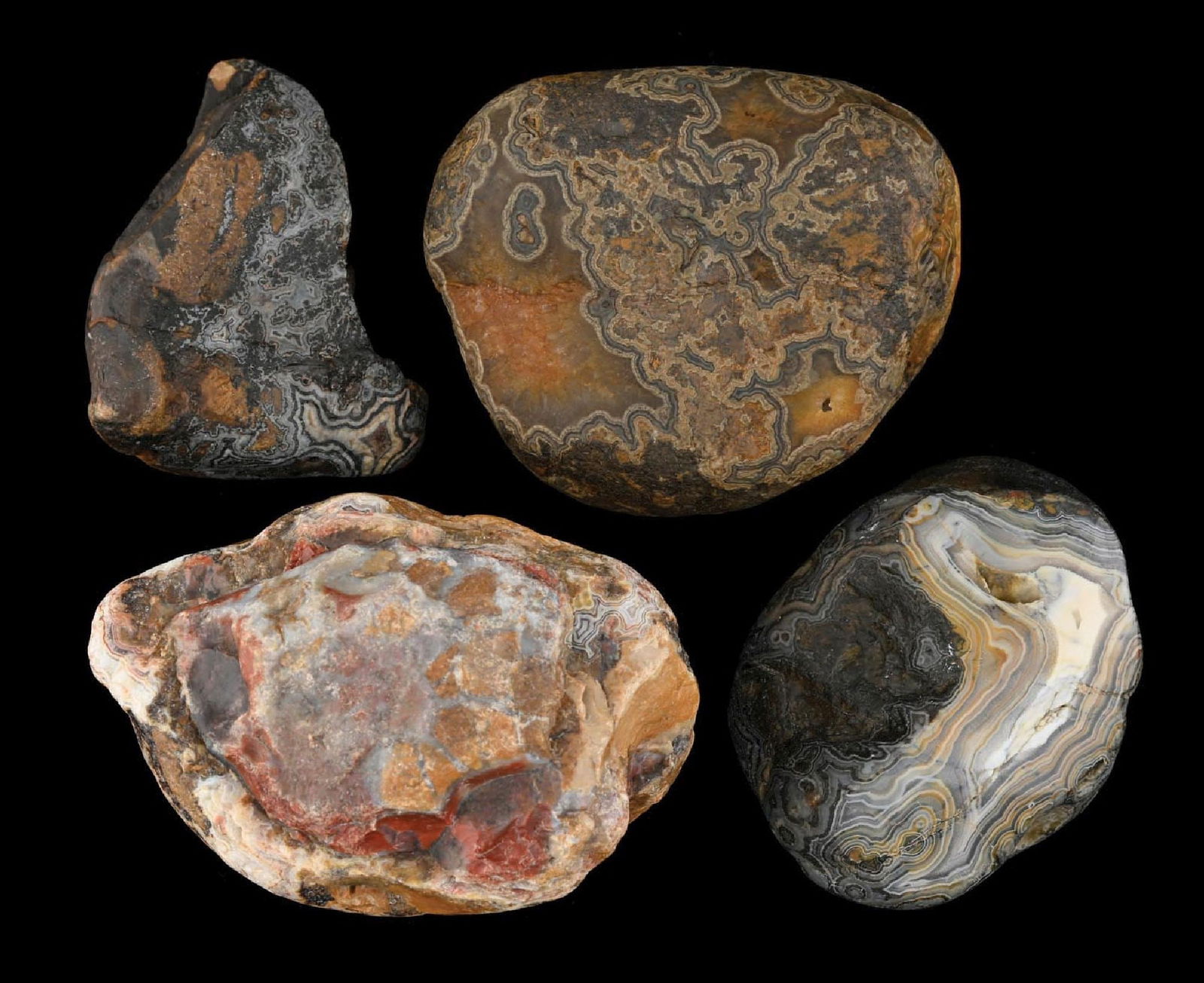 LOT OF 4: TROPHY FAIRBURN AGATES (1 of 2)