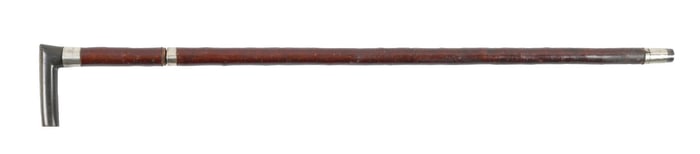HORN HANDLE CANE