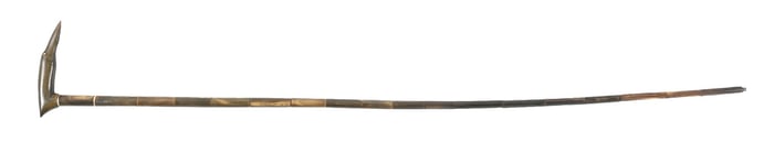 HORN CANE WITH ANIMAL HEAD