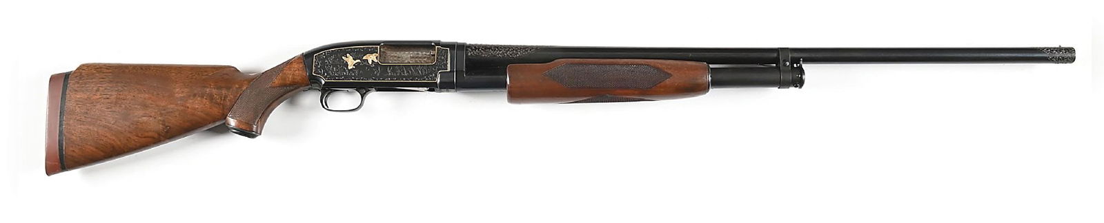 (C) CUSTOM ENGRAVED WINCHESTER MODEL 12 SLIDE ACTION SHOTGUN.: Attractive gold inlaid custom game scene engraved 1943 Winchester Model 12. Full coverage engraved with vignettes of waterfowl in wetlands with gold inlays and gold borders. Chamber and muzzle are scr