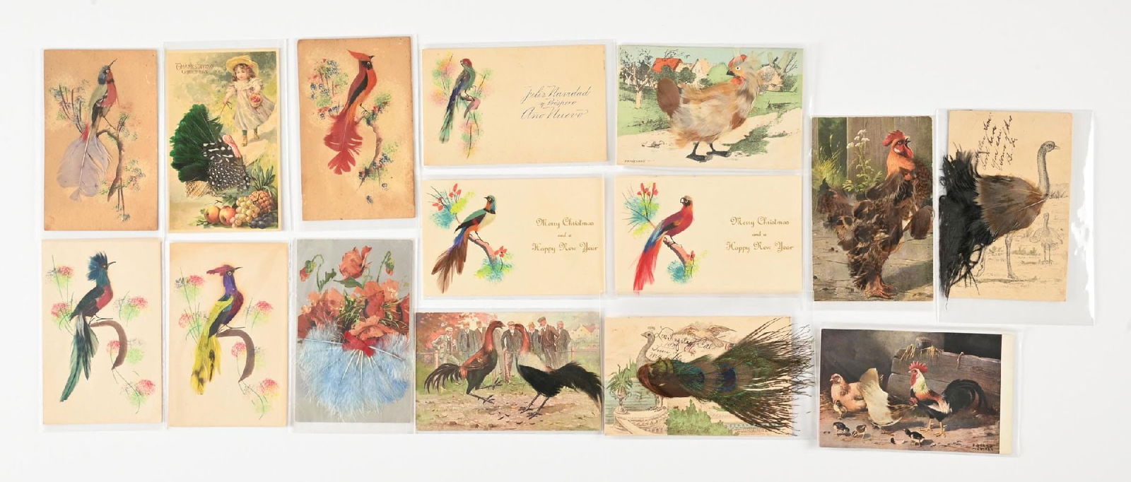 LOT OF 15: VARIOUS VINTAGE BIRDS WITH REAL FEATHERS POSTCARDS (1 of 2)