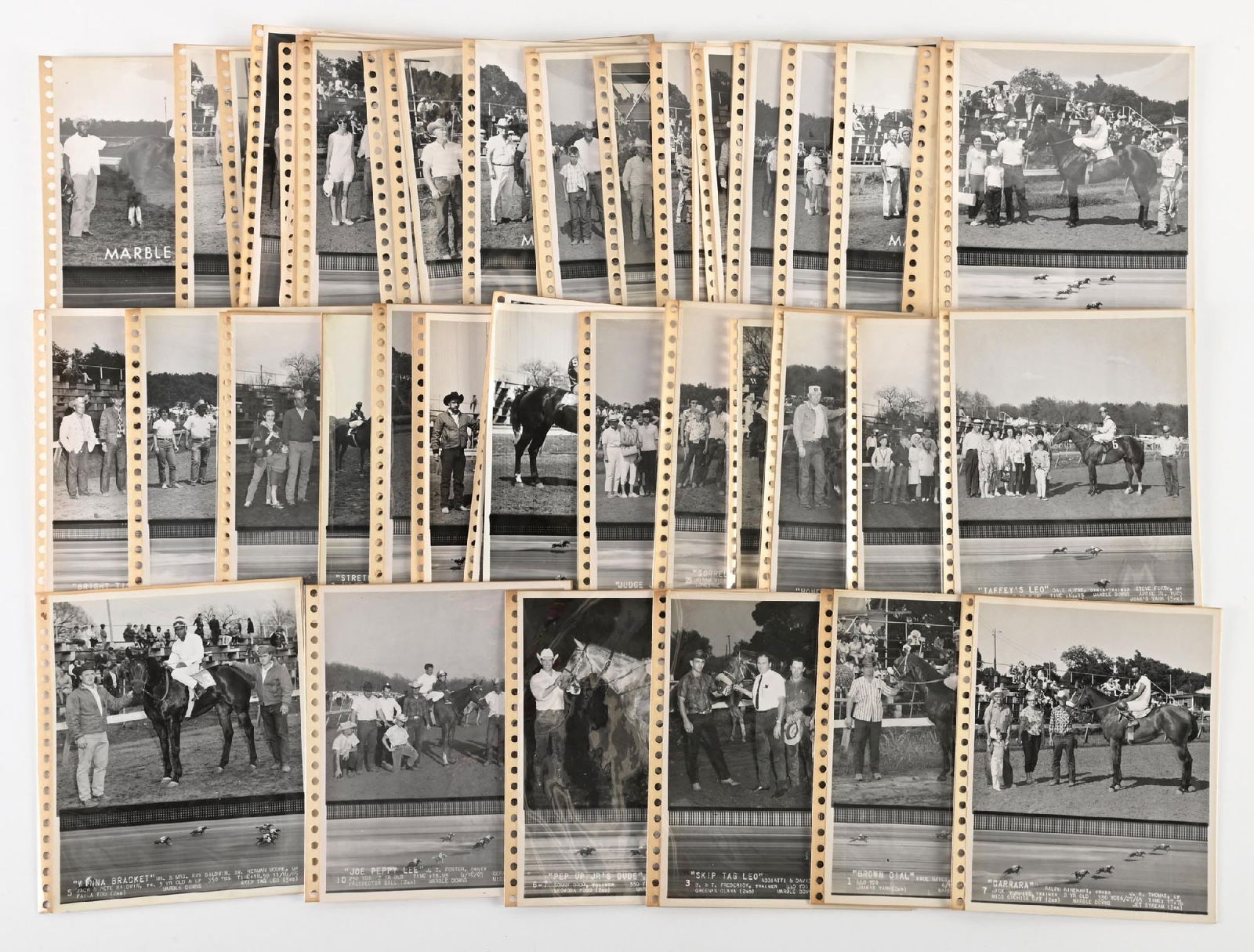 LARGE LOT OF: VARIOUS HORSE RACING 8X10 BLACK & WHITE PHOTOS (1 of 1)