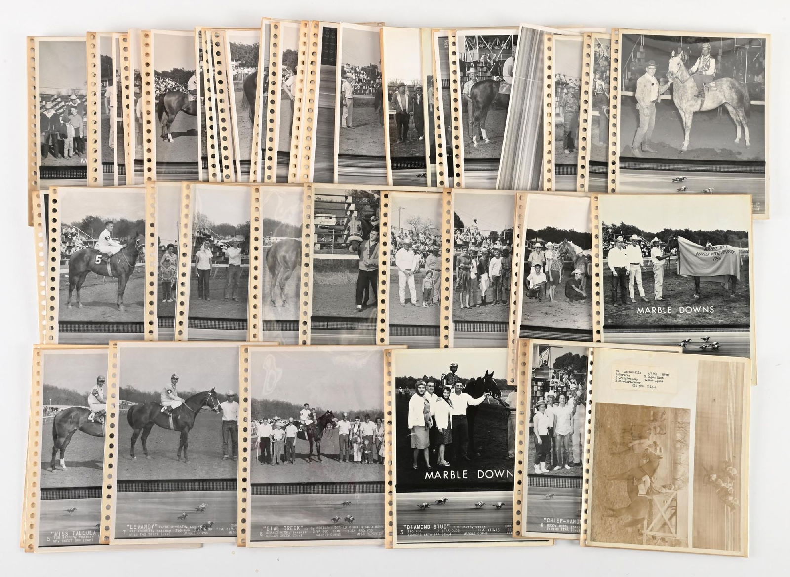 LARGE LOT OF: VARIOUS HORSE RACING 8X10 BLACK & WHITE PHOTOS (1 of 1)