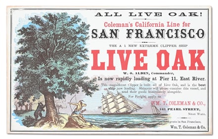GOLD RUSH CLIPPER CARD "LIVE OAK"