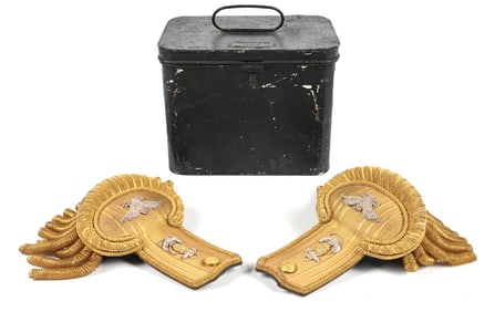 CASED US NAVY MEDICAL CAPTAIN'S EPAULETTE SET.