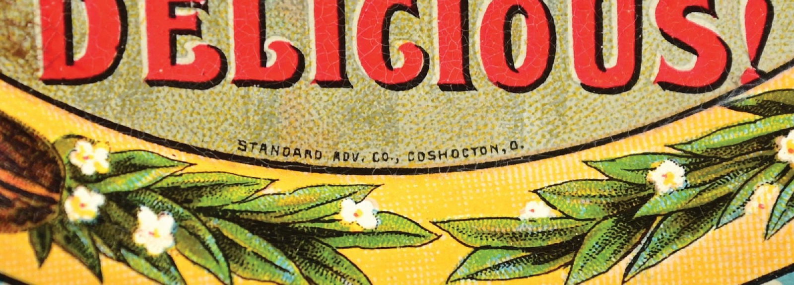 DRINK COCA-COLA TIP TRAY - 3