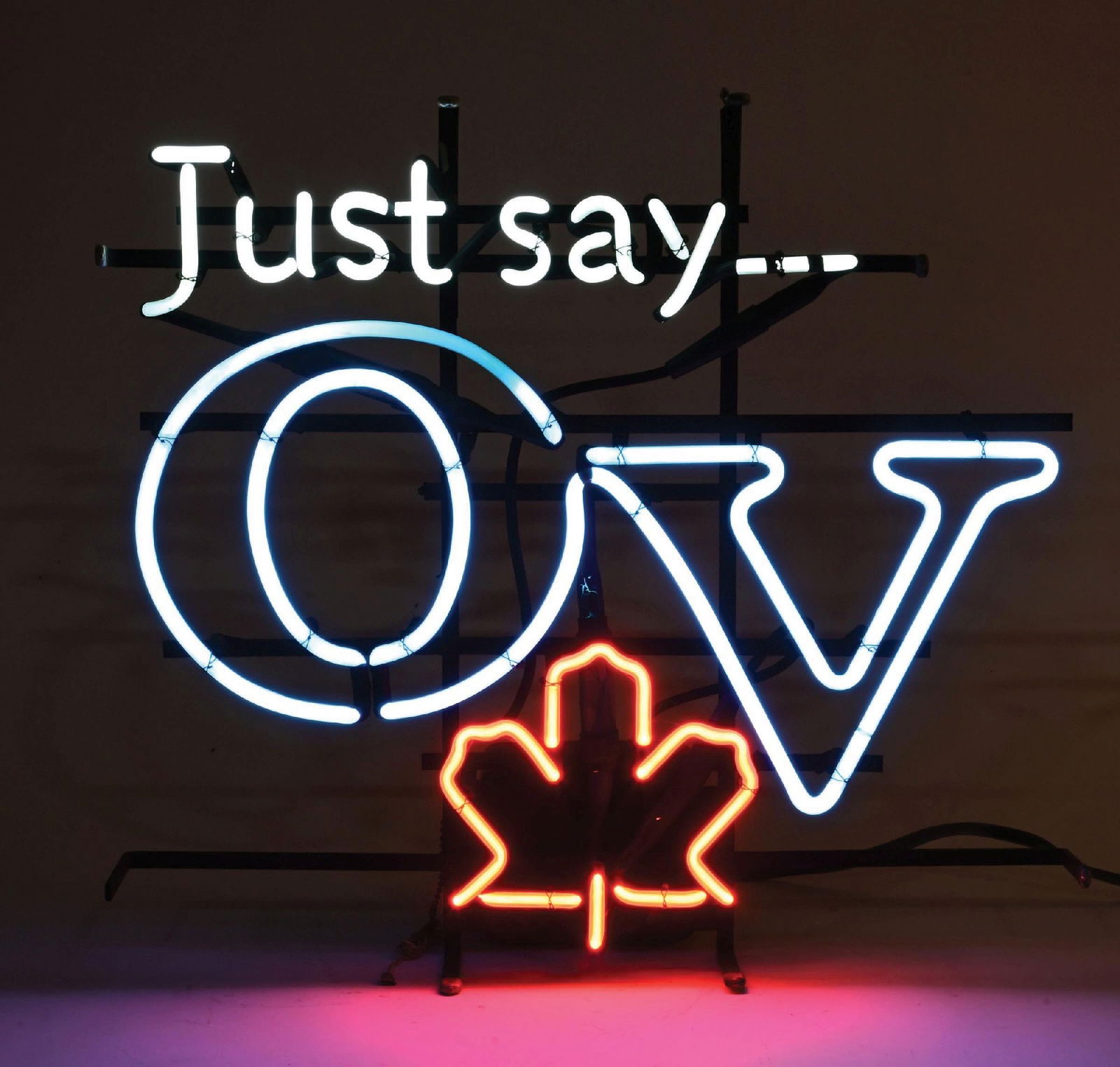 JUST SAY OV SKELETON NEON SIGN (1 of 4)