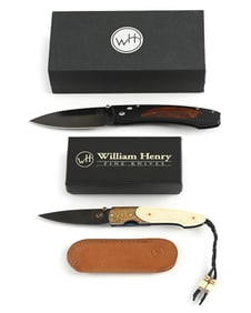 LOT OF 2: WILLIAM HENRY E10-1 AND T10-AG5.