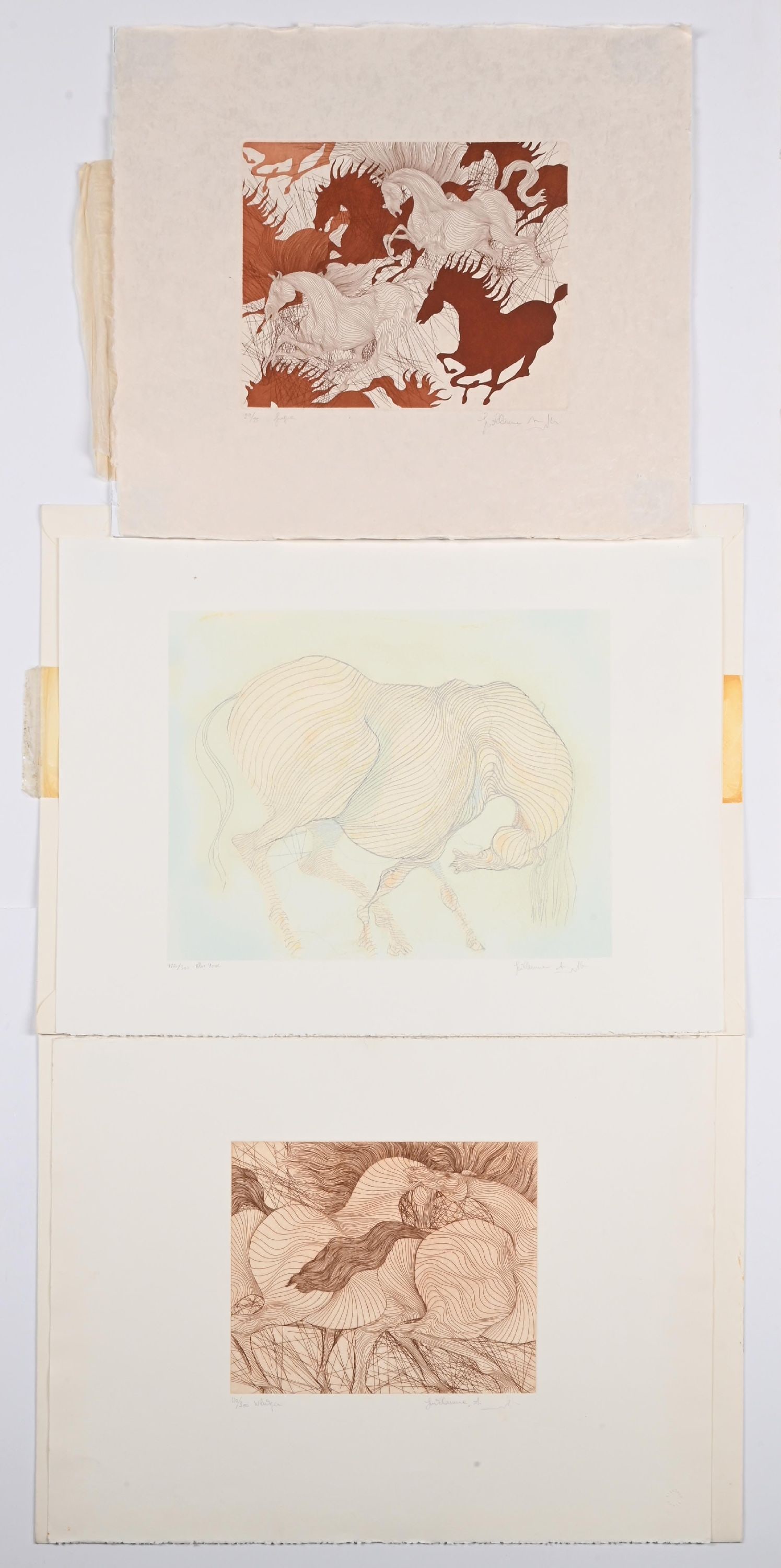 GUILLAUME AZOULAY (MOROCCAN, B. 1949): Collection of three lithographs, each depicting horses. Dimensions: Largest: 30" x 22".