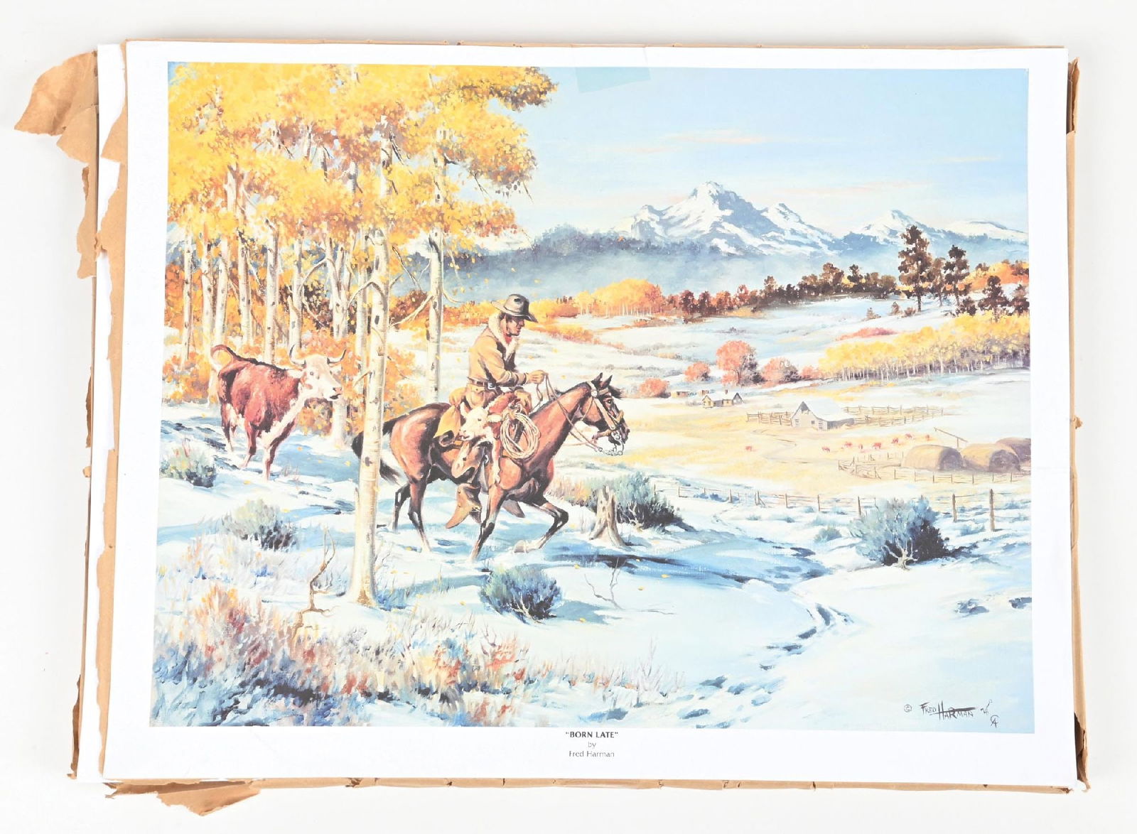 LOT OF APPROXIMATELY 100 “BORN LATE” BY FRED HARMAN PRINTS: Provenance: Estate of N. Harman. Dimensions: Each: 24 - 1/2" x 19".