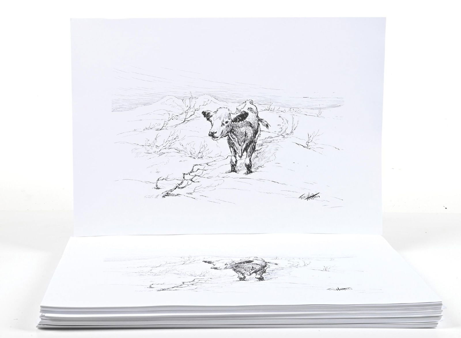 LOT OF APPROXIMATELY 100 “THE LEPPY” BY FRED HARMAN PRINTS: Provenance: Estate of N. Harman. Dimensions: Each: 20" x 14".