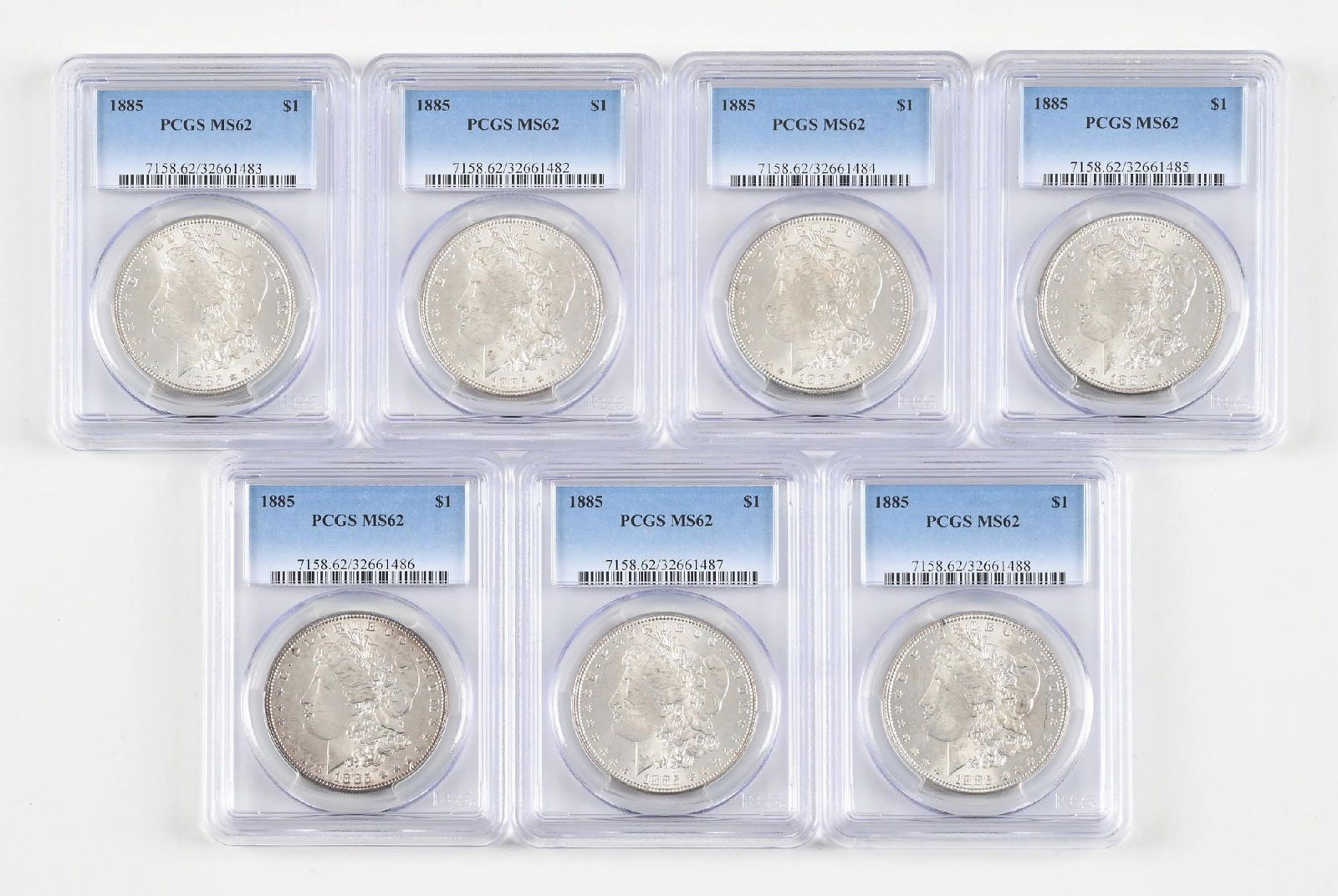 LOT OF 7: 1885 $1 MS62 PCGS: LOT OF 7: 1885 $1 MS62 PCGS