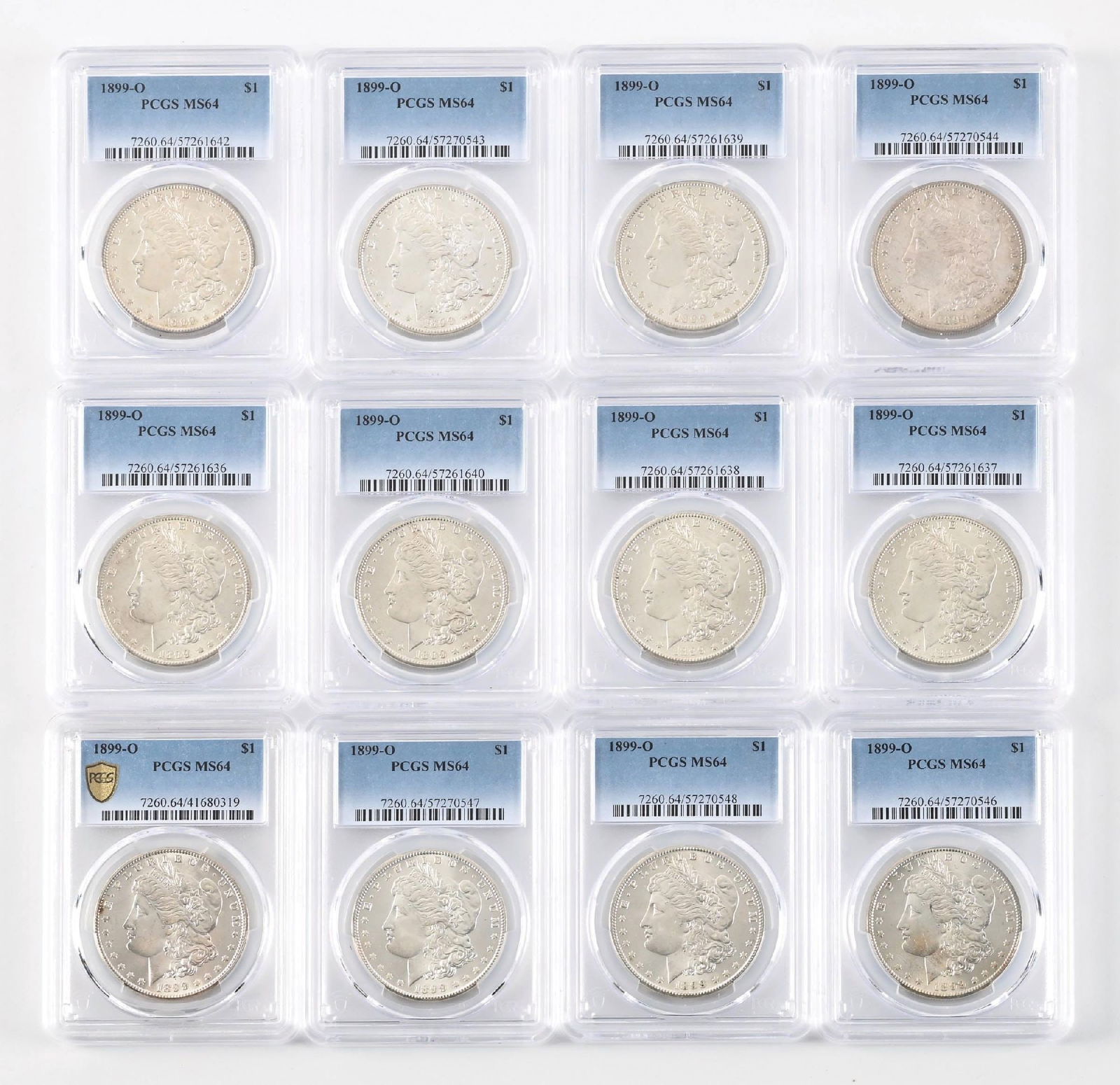 LOT OF 12: 1899-O $1 MS64 PCGS: LOT OF 12: 1899-O $1 MS64 PCGS